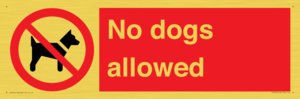 No dogs allowed